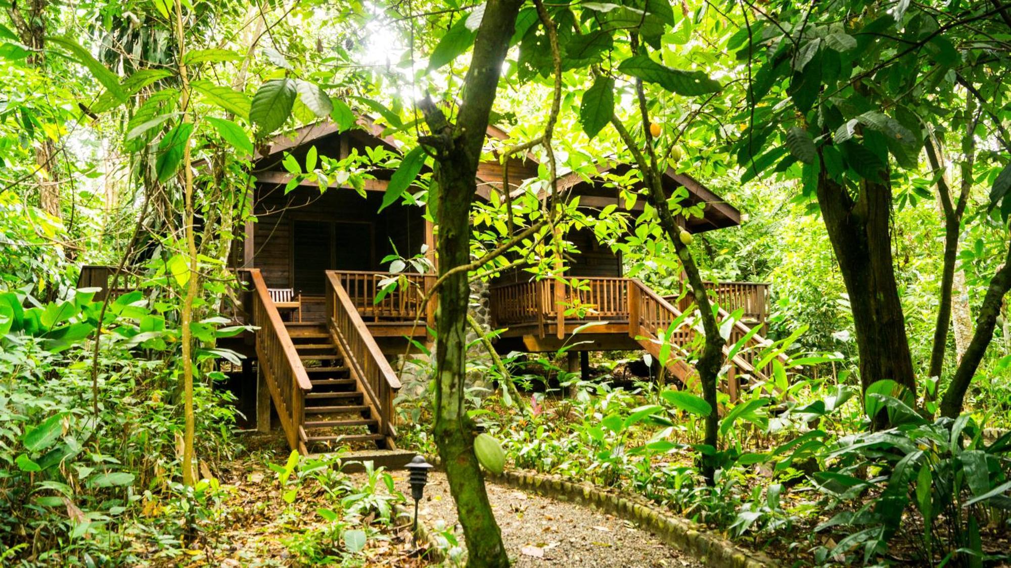 The Lodge & Spa At Pico Bonito El Pino ภายนอก รูปภาพ