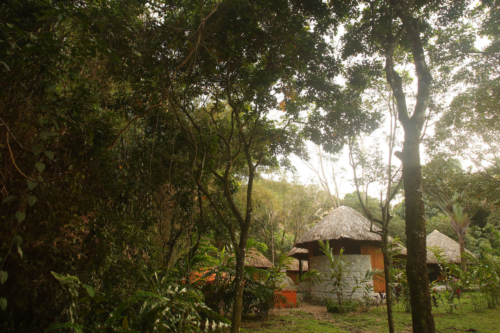 The Lodge & Spa At Pico Bonito El Pino ภายนอก รูปภาพ