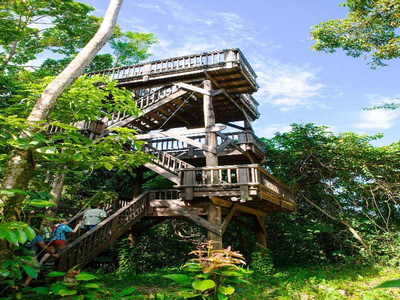 The Lodge & Spa At Pico Bonito El Pino ภายนอก รูปภาพ